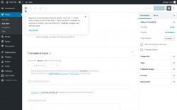 Page screenshot: Add New Post &lsaquo; Test site &mdash; WordPress