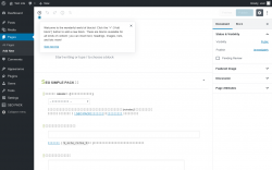 Page screenshot: Add New Page &lsaquo; Test site &mdash; WordPress