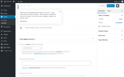 Page screenshot: Add New Page &lsaquo; Test site &mdash; WordPress