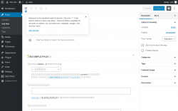 Page screenshot: Add New Post &lsaquo; Test site &mdash; WordPress