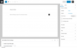 Page screenshot: Add New Post &lsaquo; Test site &mdash; WordPress