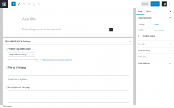 Page screenshot: Add New Page &lsaquo; Test site &mdash; WordPress
