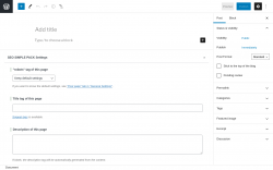 Page screenshot: Add New Post &lsaquo; Test site &mdash; WordPress