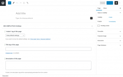 Page screenshot: Add New Page &lsaquo; Test site &mdash; WordPress