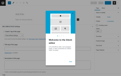 Page screenshot: Add New Page &lsaquo; Test site &mdash; WordPress