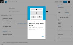 Page screenshot: Add New Post &lsaquo; Test site &mdash; WordPress