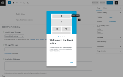 Page screenshot: Add New Page &lsaquo; Test site &mdash; WordPress