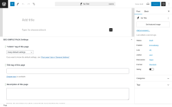 Page screenshot: Add New Post &lsaquo; Test site &mdash; WordPress
