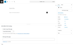 Page screenshot: Add New Post &lsaquo; Test site &mdash; WordPress