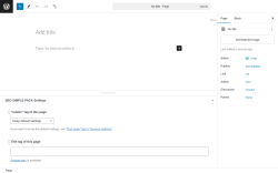 Page screenshot: Add New Page &lsaquo; Test site &mdash; WordPress
