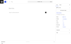 Page screenshot: Add Post &lsaquo; Test site &mdash; WordPress
