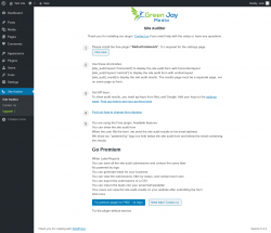 Page screenshot: Site Auditor