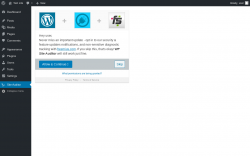 Page screenshot: Site Auditor ‹ Test site — WordPress
