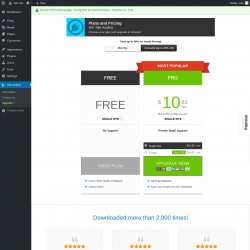 Page screenshot: Site Auditor → Upgrade  ➤