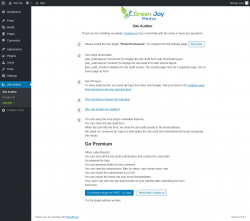 Page screenshot: Site Auditor