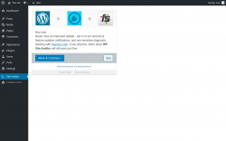 Page screenshot: Site Auditor ‹ Test site — WordPress