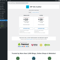 Page screenshot: Site Auditor → Upgrade  ➤