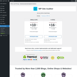 Page screenshot: Site Auditor → Upgrade  ➤