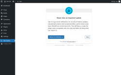 Page screenshot: Site Auditor ‹ Test site — WordPress
