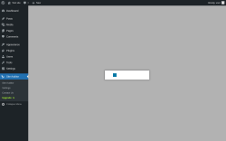 Page screenshot: Site Auditor → Upgrade  ➤