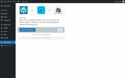 Page screenshot: Site Auditor ‹ Test site — WordPress