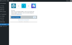Page screenshot: Site Auditor ‹ Test site — WordPress