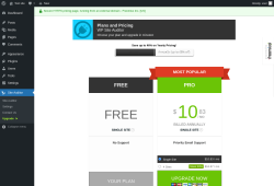 Page screenshot: Site Auditor → Upgrade  ➤