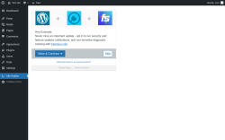 Page screenshot: Site Auditor ‹ Test site — WordPress
