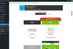 Page screenshot: Site Auditor → Upgrade  ➤