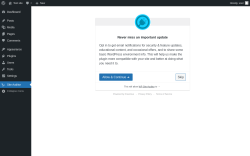 Page screenshot: Site Auditor ‹ Test site — WordPress
