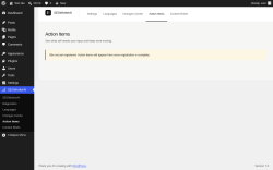 Page screenshot: SEOWorkerAI &rarr; Action Items