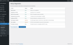 Page screenshot: SEOWorkerAI &rarr; Diagnostics