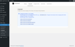 Page screenshot: SEOWorkerAI &rarr; Languages