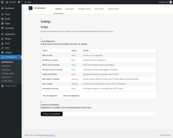 Page screenshot: SEOWorkerAI &lsaquo; Test site &mdash; WordPress