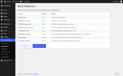 Page screenshot: SEOWorkerAI &rarr; Diagnostics