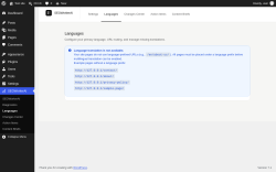 Page screenshot: SEOWorkerAI &rarr; Languages