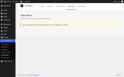 Page screenshot: SEOWorkerAI &rarr; Action Items