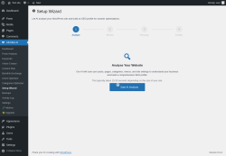 Page screenshot: SEOBot AI &rarr; Setup Wizard