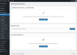 Page screenshot: SEOBot AI &rarr; Keywords