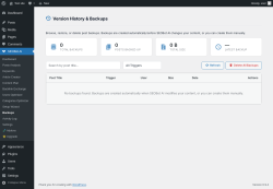 Page screenshot: SEOBot AI &rarr; Backups