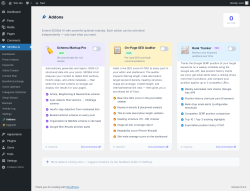 Page screenshot: SEOBot AI &rarr; 🧩 Addons
