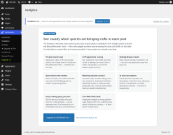 Page screenshot: SEOMedic &rarr; Analytics