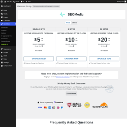 Page screenshot: SEOMedic &rarr; Upgrade&nbsp;&nbsp;➤