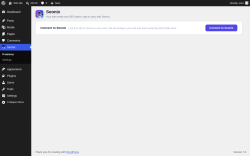 Page screenshot: Seonix