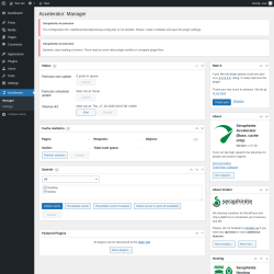 Page screenshot: Accelerator