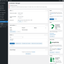 Page screenshot: Accelerator