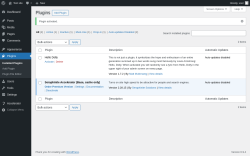 Page screenshot: Plugins &lsaquo; Test site &mdash; WordPress
