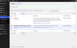 Page screenshot: Plugins &lsaquo; Test site &mdash; WordPress