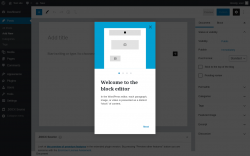 Page screenshot: Add New Post &lsaquo; Test site &mdash; WordPress