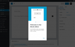 Page screenshot: Add New Page &lsaquo; Test site &mdash; WordPress